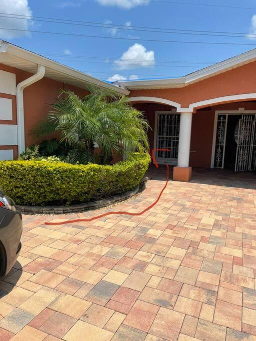 Twelve Oaks Modern Independent Apartment Tampa Zewnętrze zdjęcie