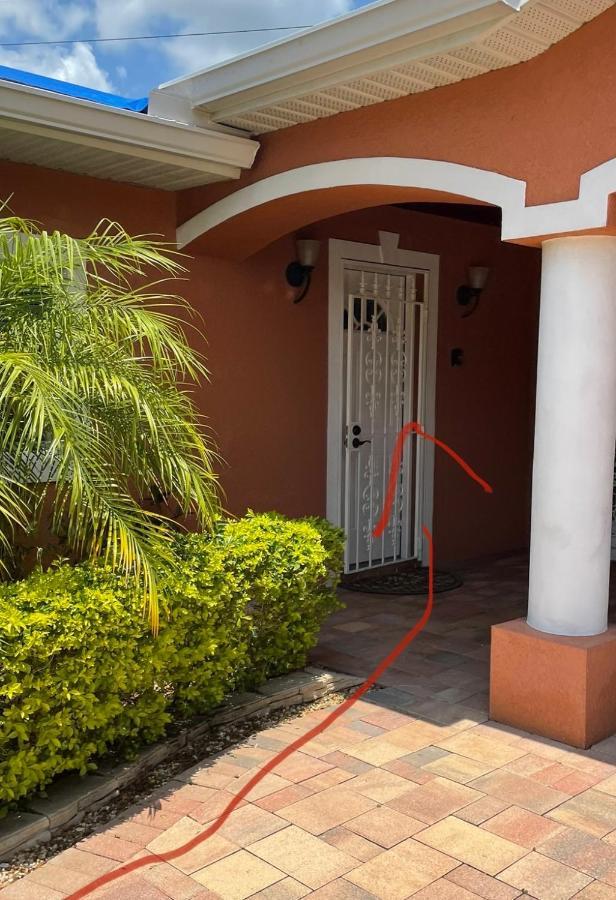 Twelve Oaks Modern Independent Apartment Tampa Zewnętrze zdjęcie