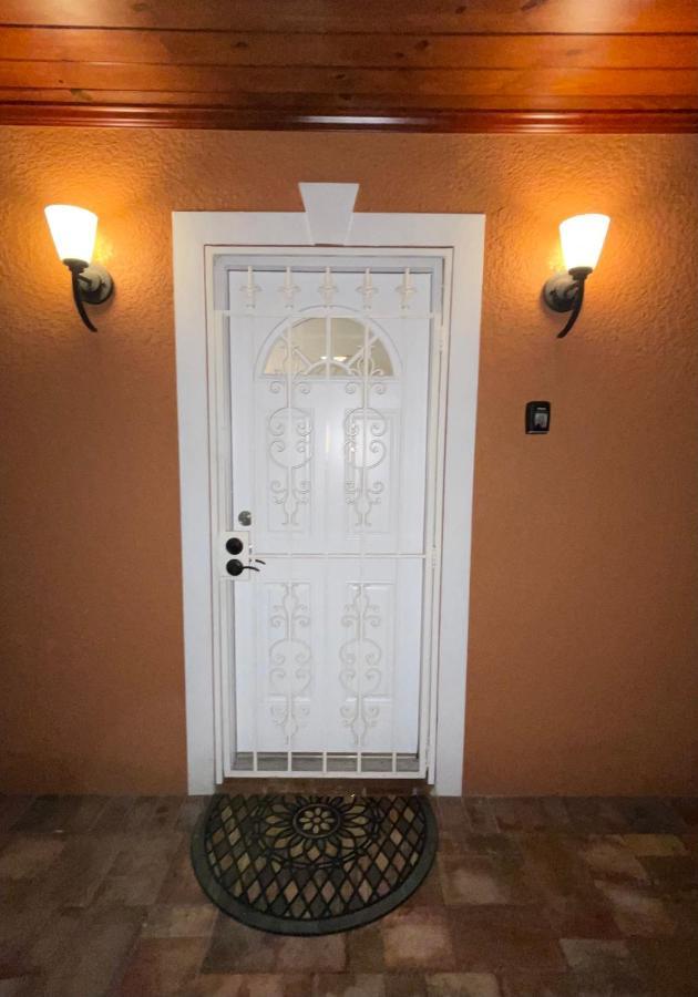 Twelve Oaks Modern Independent Apartment Tampa Zewnętrze zdjęcie